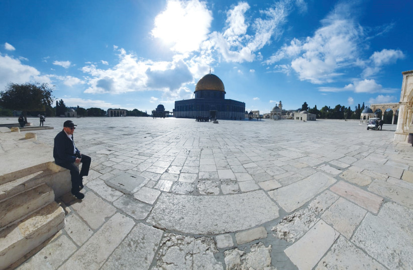  THE WRITER sits in reflection on the northern edge of the Temple Mount plaza, this week. (photo credit: Courtesy/David M. Weinberg)