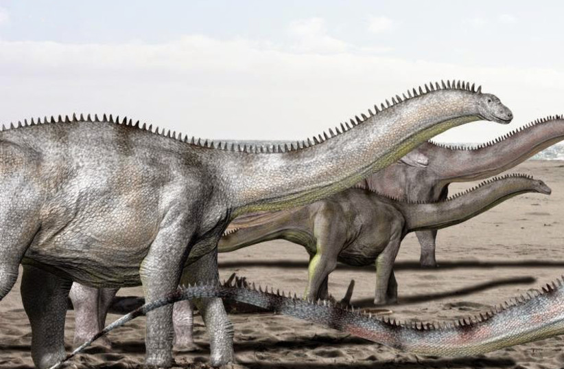  Life reconstruction of Brontosaurus excelsus, a type of diplodocid sauropod dinosaur (Illustrative). (photo credit: Wikimedia Commons)