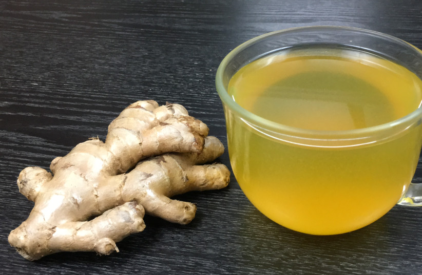  Ginger tea has many uses when it comes to fighting infection and illness. (photo credit: Wikimedia Commons)