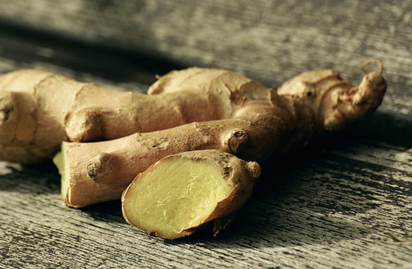 Incorporating ginger into your diet can have numerous health benefits (photo credit: Hippopx)