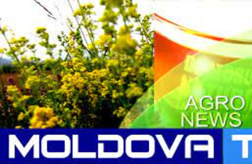  Moldovan TV station  (credit: WIKIMEDIA)