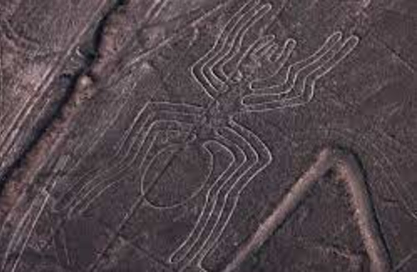  A spider in Nazca lines (photo credit: FLICKR)