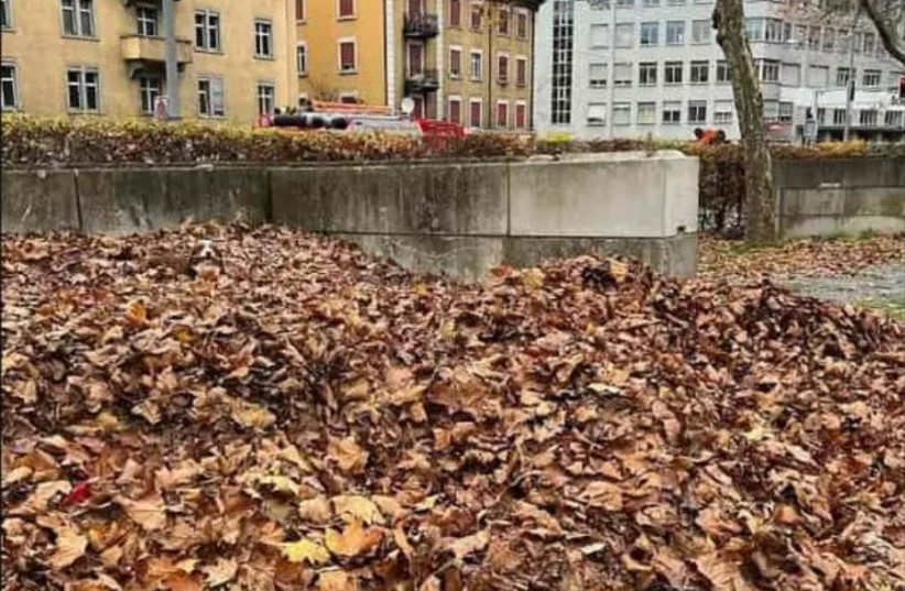  Can you find the dog hiding in this leaf pile? (credit: VIA MAARIV ONLINE)
