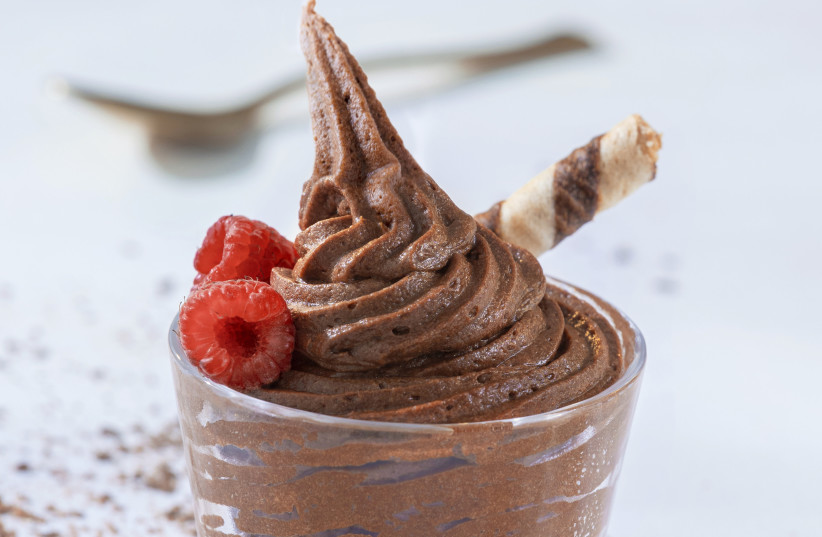  InnovoPro's egg- and dairy-free chocolate mousse. (photo credit: JVP)