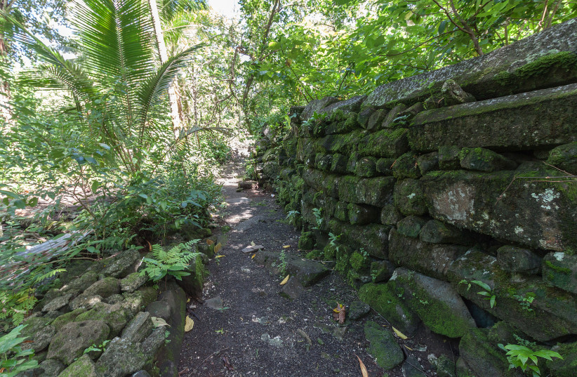  Typical fragment of a wall, Lelu Ruins, Kosrae, Micronesia. (credit: Wikimedia Commons)