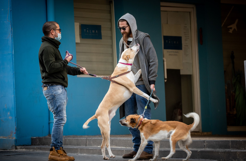  People seen with their dogs in downtown Jerusalem on January 14, 2021 (photo credit: YONATAN SINDEL/FLASH90)