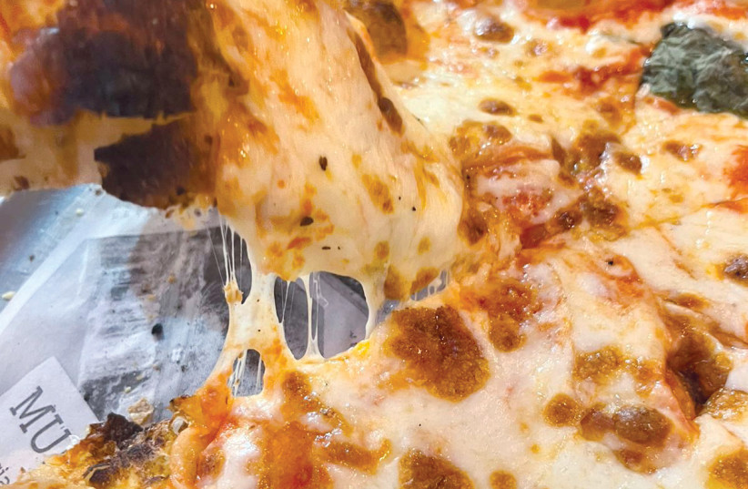  Anthony’s Pizza (credit: NOA ROSEN)