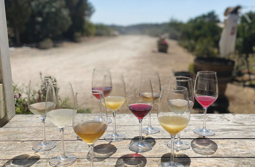  PET-NATS come in all kinds of shades – from white, orange and rose to red. (photo credit: Kerem Barak Winery)
