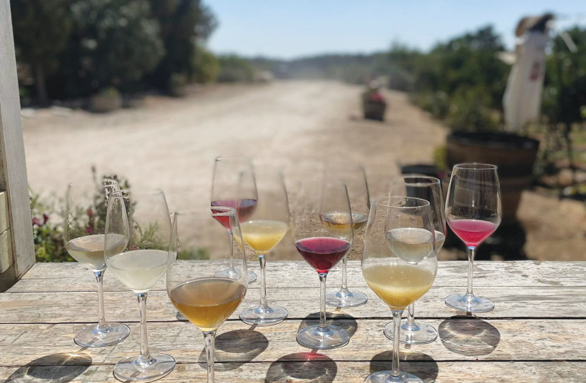 Wine Talk: Hipster champagne - Vimarsana News