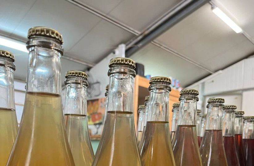  (L) HOW ARE pét-nats bottled? Using a crown top closure like a beer. (credit: Kerem Barak Winery)