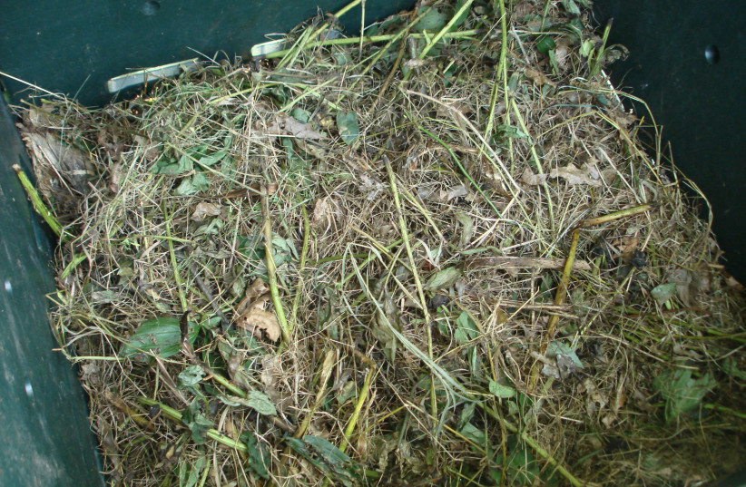 Materials in a compost pile (photo credit: KSD5/CC0/VIA WIKIMEDIA COMMONS)