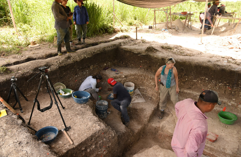  Excavations at Aguada Fénix. (credit: Takeshi Inomata)