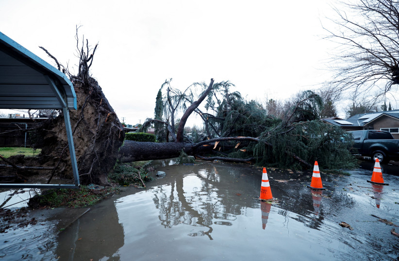  A tree blocks a roadway after it fell in high winds during a winter storm in West Sacramento (credit: REUTERS)