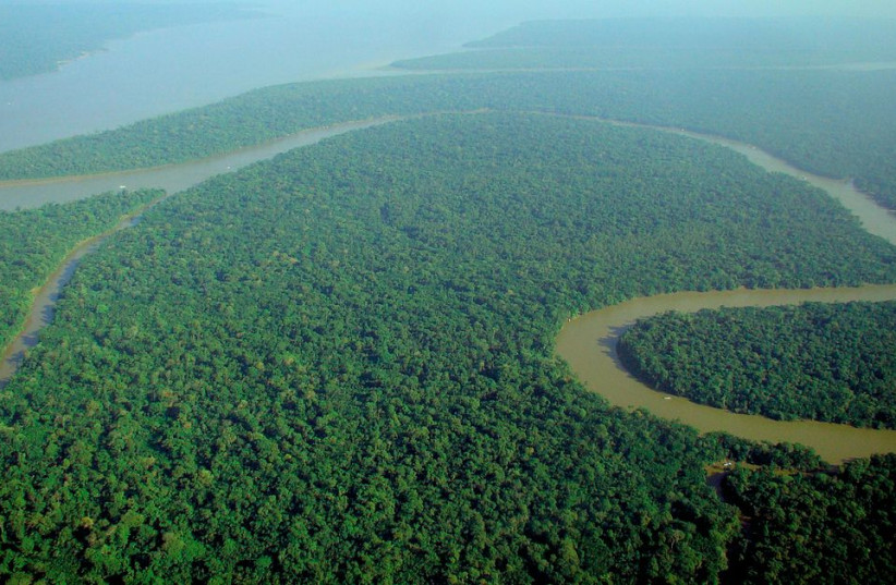  A small part of the vast Amazon River Basin in South America (Illustrative). (credit: Wikimedia Commons)