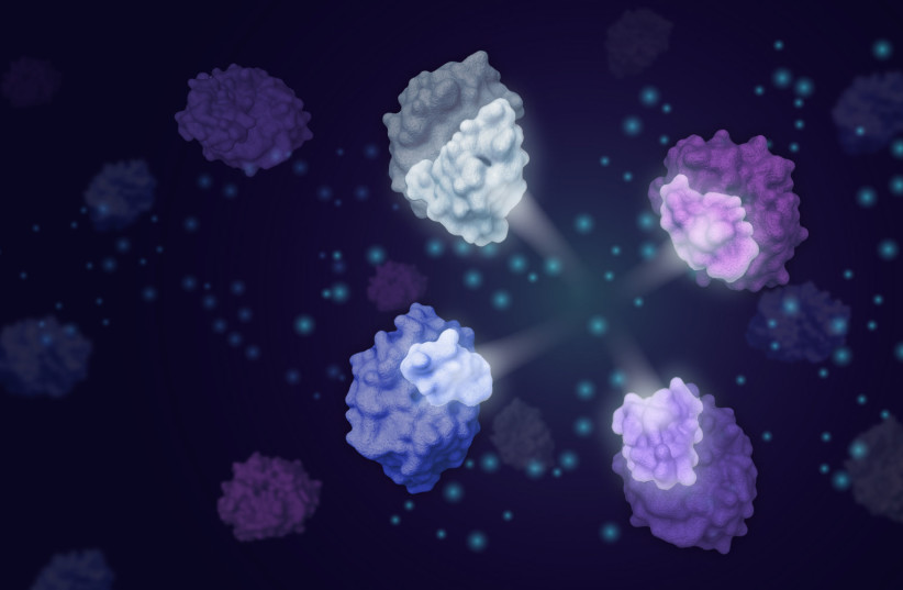 An illustration showing four modular enzyme fragments (highlighted) that Weizmann Institute’s CADENZ method can combine to generate active enzymes at a hitherto unseen rate (photo credit: WEIZMANN INSTITUTE OF SCIENCE)