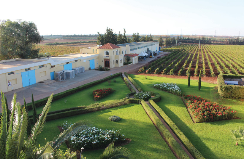 DOMAINE DE LA ZOUINA is one of Morocco’s leading smaller wineries. (photo credit: Domaine de la Zouina)