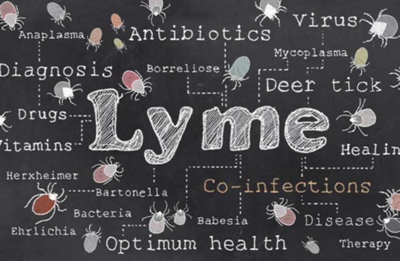 lyme disease autoimmune (photo credit: SHUTTERSTOCK)