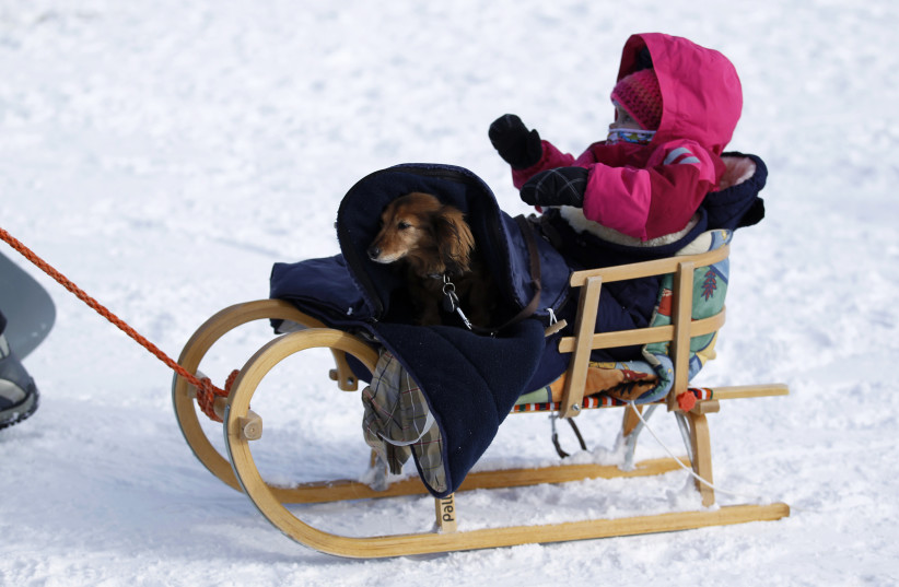  A dog and a baby sit on a sledge in the western town of Neuastenberg February 8, 2015 (photo credit: REUTERS/INA FASSBENDER)