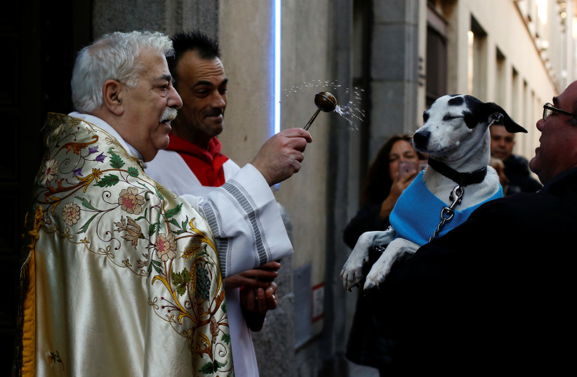  A priest blesses a dog outside San Anton Church in Madrid (photo credit: REUTERS)