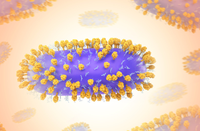  Creative artwork featuring 3D renderings of respiratory syncytial virus (RSV) (credit: NIAID/FLICKR)