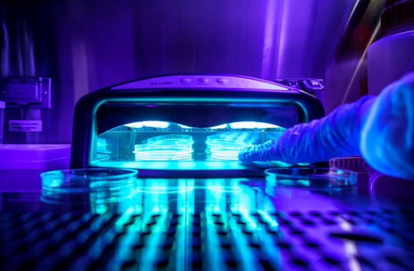  Researchers at University of California San Diego studied the UV light-emitting devices used to cure gel manicures, and found that the chronic use of these nail polish drying machines is damaging to human cells (photo credit: DAVID BAILLOT/UC SAN DIEGO, JACOBS SCHOOL OF ENGINEERING)