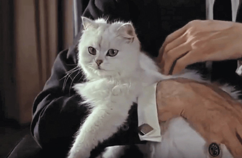  The cat in the James Bond films (credit: PERSIAN CAT CORNER)
