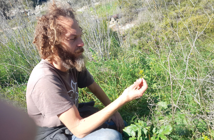  YARON SHERMAN is an acclaimed forager and educator. (photo credit: BARRY DAVIS)