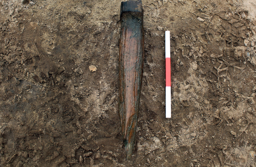  The wooden axle fragment, modified and reused as a stake. (credit: Cotswold Archaeology)
