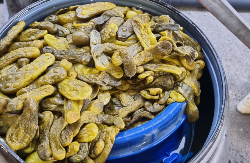  Illegal male performance-enhancing drugs were seized by customs agents at Ashdod seaport this week after an importer from Hod Hasharon attempted to smuggle them into Israel by hiding them in barrels of pickles.  (photo credit: ISRAEL TAX AUTHORITY SPOKESPERSON)