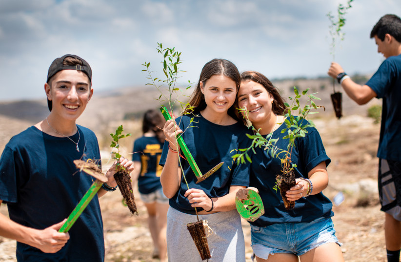  American students plant trees in Israel with JNF-USA (Credit Mruwka Photography) (photo credit: Mruwka Photography)