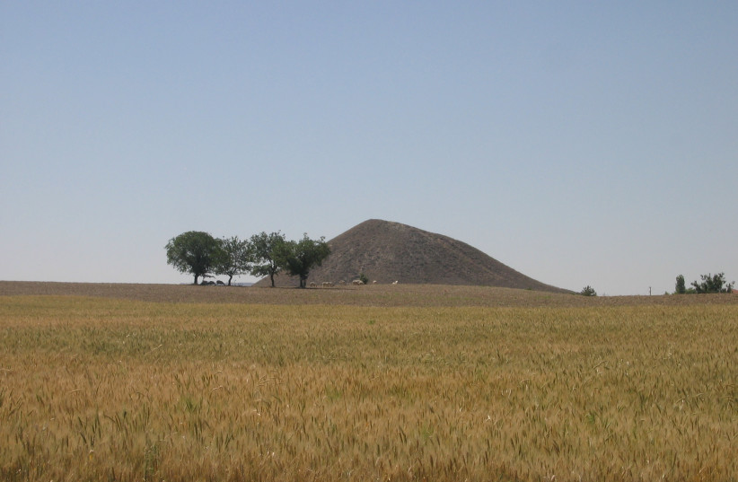  Midas Mound Gordion and landscape and cereal crop. (photo credit: JOHN MARSTON)