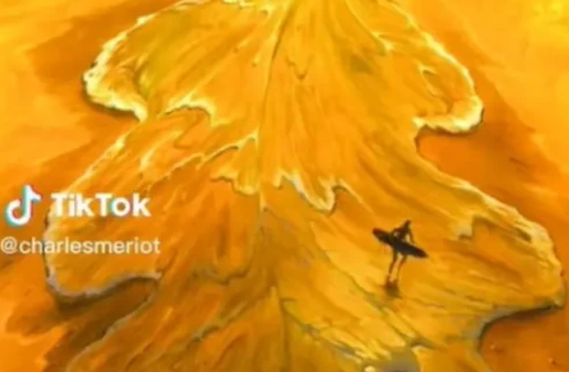  Is it a leaf or a surfer riding the wave? (credit: Tiktok/Maariv)