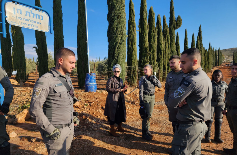  Israel Border Police soldiers uproot an Israeli-run olive grove on disputed land in the West Bank, February 15, 2023. (credit: OFFICE OF MK LIMOR SON HAR-MELECH)