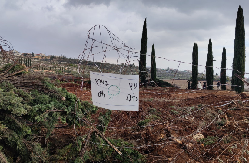  An area around Shilo in Israel's West Bank is fenced off amid a freeze on uprooting olive trees, on February 15, 2023. (photo credit: TZVI JOFFRE)