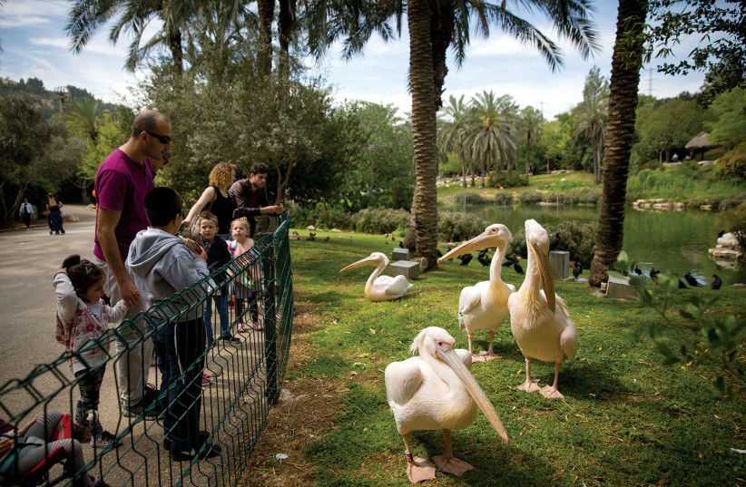 This week in Jerusalem: Victory in Kiryat Yovel – for now - Vimarsana News