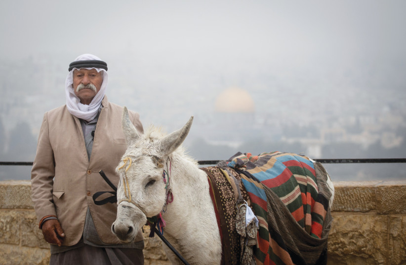  A MAN and his donkey, Mount of Olives.  (photo credit: MIRIAM ALSTER/FLASH90)