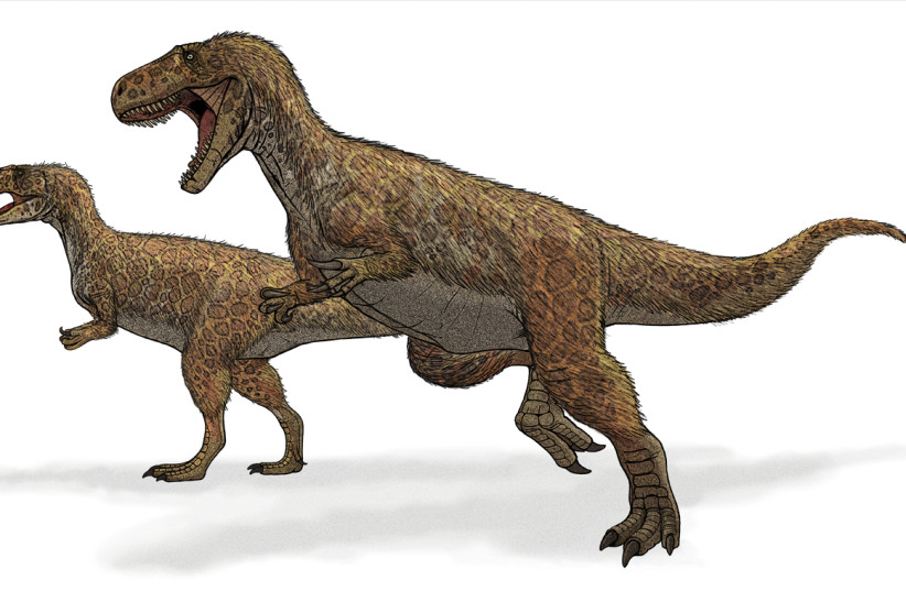 Restoration of Megalosaurus, with a mostly hypothetical head (credit: LADYOFHATS/PUBLIC DOMAIN/VIA WIKIMEDIA COMMONS)