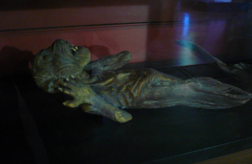  Mummified mermaid statue (credit: FLICKR)