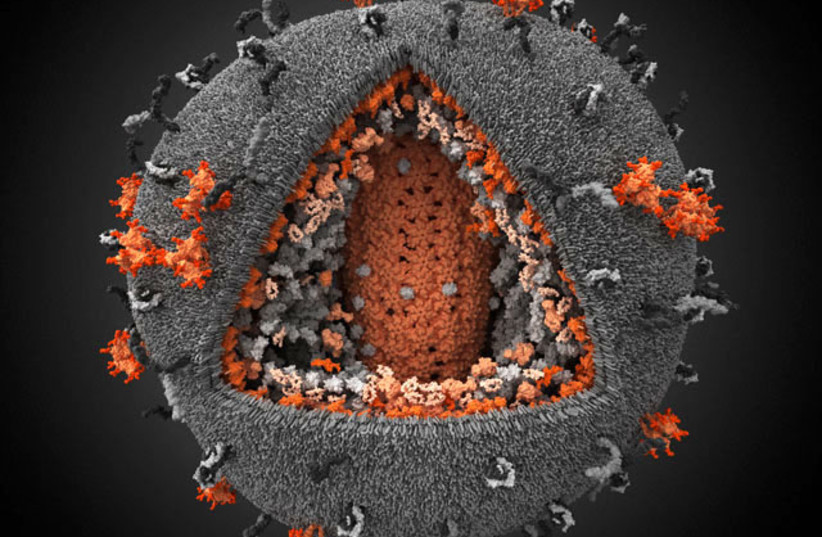 HIV (3D illustration). (credit: Microbe World/Flickr)