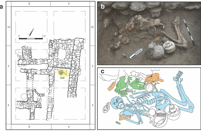   Bioarchaeological context of this study. A: The Area H (H-15) domestic structure, with Tomb 45 highlighted in yellow. B: In-situ photograph of early exposure of burial context. C: Composite drawing featuring all layers. Individual 1 is blue, Individual 2 is green, faunal remains are orange. (credit: Kalisher et al.,2023, PLOS ONE, CC-BY 4.0)
