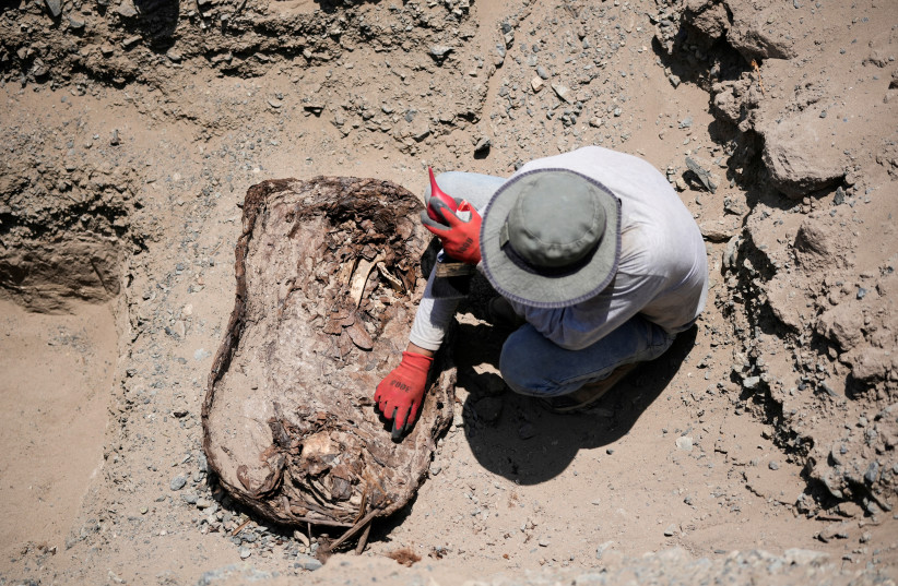  An archaeologist from the University of San Marcos works at the site of a burial belonging to the Chantay pre-Columbian culture, which was found in a cemetery at Macaton mountain in the north-central Huaral valley, in Huaral, Peru (credit: REUTERS)