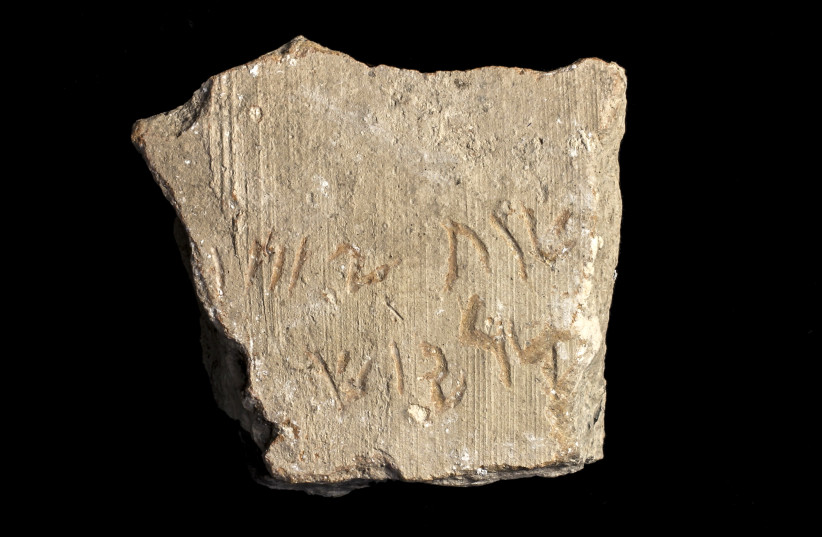  The Darius inscription. (photo credit: SHAI HALEVI / ISRAEL ANTIQUITIES AUTHORITY)