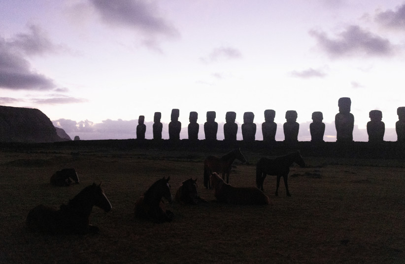  Horses graze next to the the Moais at Ahu Tongariki archaeological site in Rapa Nui, Easter Island, Chile November 15, 2022.  (credit: Pablo Sanhueza/Reuters)