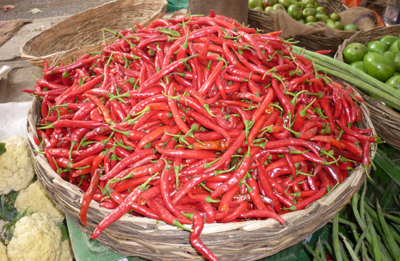 Chili peppers at a market in India (photo credit: SIVAHARI/CC BY-SA 3.0 (https://creativecommons.org/licenses/by-sa/3.0)/VIA WIKIMEDIA COMMONS)
