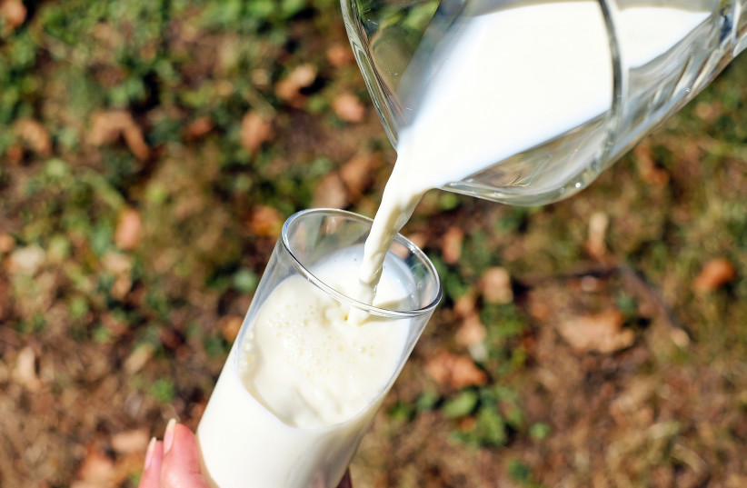  Can plant based beverages really be called milk? (illustrative) (photo credit: PXHERE)