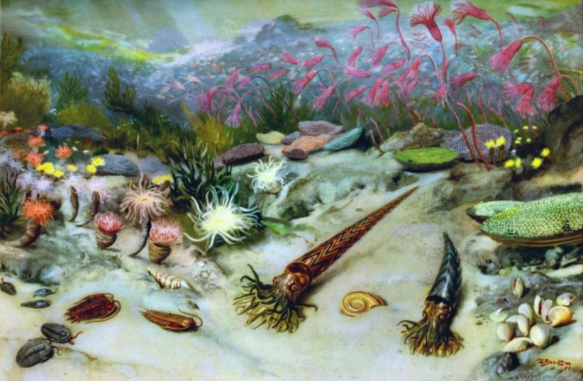  Prehistoric ocean creatures, artistic rendition (credit: PUBLICDOMAINPICTURES.NET)