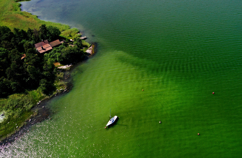  An aerial view of toxic blue-green algae bloom on the Baltic Sea coast at Tyreso near Stockholm, Sweden, June 25, 2020 (photo credit: PONTUS LUNDAHL/TT NEWS AGENCY/VIA REUTERS)