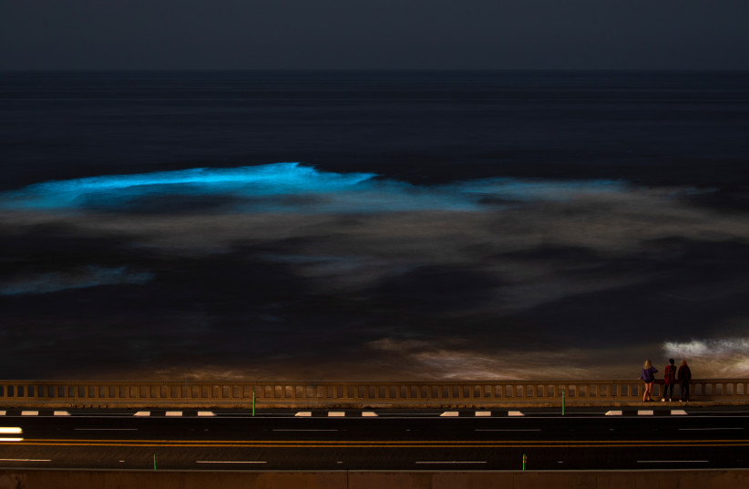  People watch from a bridge as bioluminescence from an algae bloom in the ocean lights up the breaking waves during the outbreak of the coronavirus disease (COVID-19) at Cardiff State Beach in Encinitas, California, US, May 4, 2020 (credit: REUTERS/MIKE BLAKE)