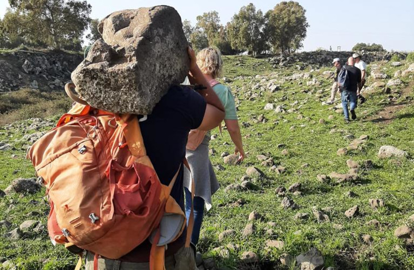  A student carrying the lion relief found in Majdulia. (credit: Mordechai Aviam)