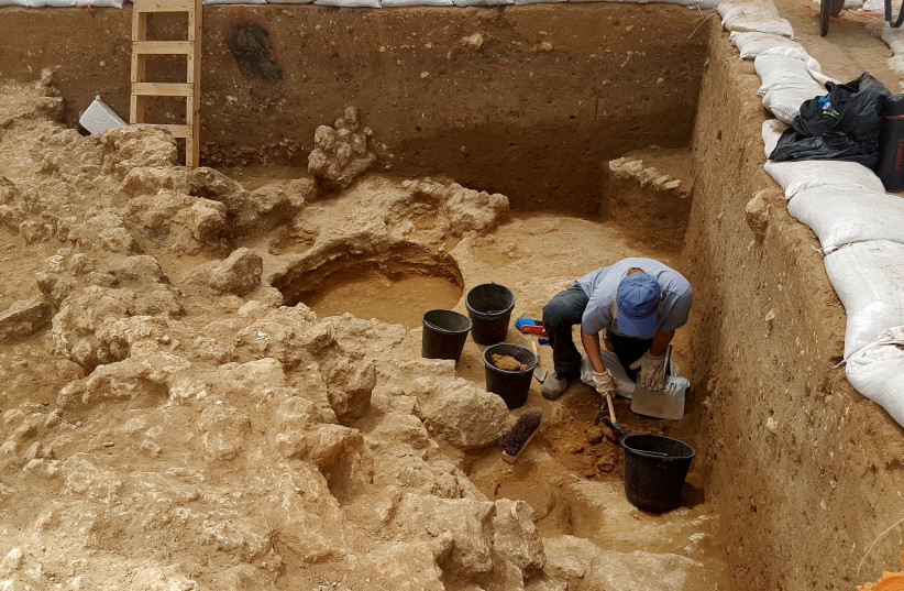  The excavation that the IAA held in Ashkelon (2018) .  (credit: YAEL ABADI-REISS, ISRAEL ANTIQUITY AUTHORITY)